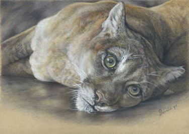 Drawing titled "Cougar Eyes" by Geraldine Simmons, Original Artwork, Pencil