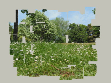 Digital Arts titled "The Meadow" by Gerald Shepherd F.F.P.S., Original Artwork, 2D Digital Work