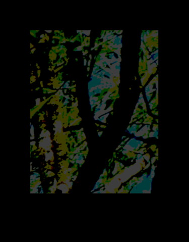 Arts numériques intitulée "Tree Trace" par Gerald Shepherd F.F.P.S., Œuvre d'art originale, Travail numérique 2D