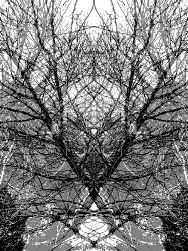 Arts numériques intitulée "Diagonals.jpg" par Gerald Shepherd F.F.P.S., Œuvre d'art originale, Travail numérique 2D
