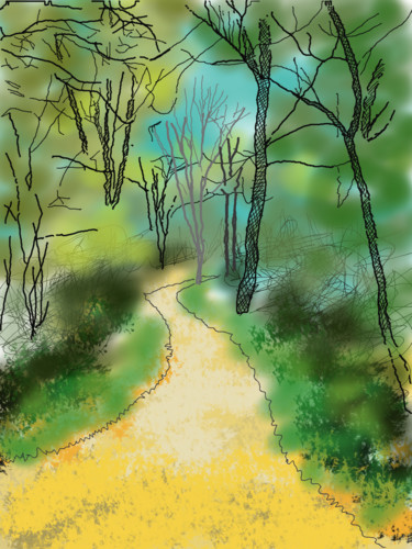 Digital Arts titled "Disappearing Path" by Gerald Shepherd F.F.P.S., Original Artwork, Digital Painting