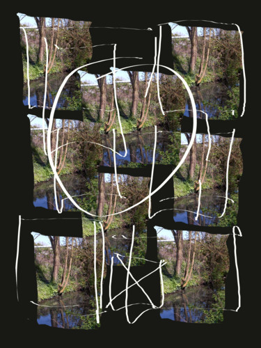 Digital Arts titled "Reflected Tree Focus" by Gerald Shepherd F.F.P.S., Original Artwork, Digital Painting
