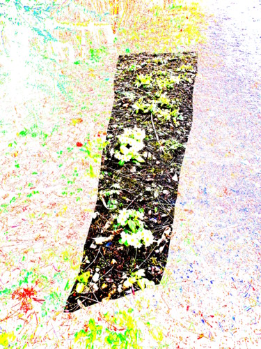 Photographie intitulée "Primrose Path" par Gerald Shepherd F.F.P.S., Œuvre d'art originale, Photographie numérique