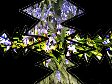 Digital Arts titled "Spanish Bluebells" by Gerald Shepherd F.F.P.S., Original Artwork, Digital Painting