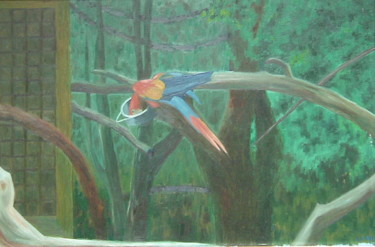 Painting titled "Parrot" by Gerald Shepherd F.F.P.S., Original Artwork, Oil