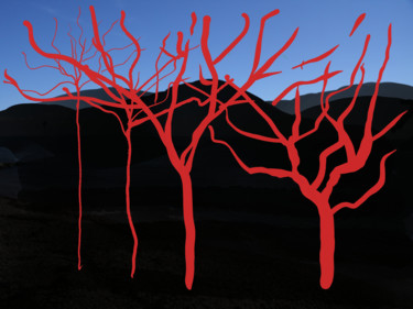 Digitale Kunst getiteld "Red Trees" door Gerald Shepherd F.F.P.S., Origineel Kunstwerk, Digitaal Schilderwerk