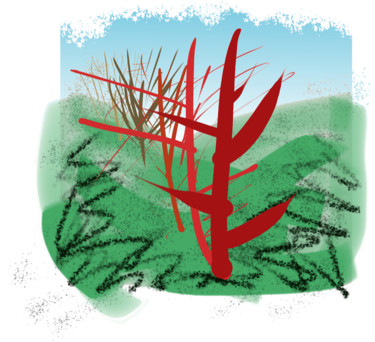 Цифровое искусство под названием "Tree Line Study" - Gerald Shepherd F.F.P.S., Подлинное произведение искусства, Цифровая жи…