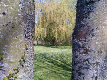 Фотография под названием "Tree Through Trees" - Gerald Shepherd F.F.P.S., Подлинное произведение искусства, Цифровая фотогра…