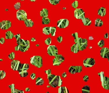 Digitale Kunst getiteld "Red Cheese" door Gerald Shepherd F.F.P.S., Origineel Kunstwerk, Digitaal Schilderwerk