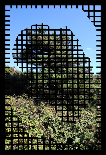 Arts numériques intitulée "Tree Map" par Gerald Shepherd F.F.P.S., Œuvre d'art originale, Travail numérique 2D