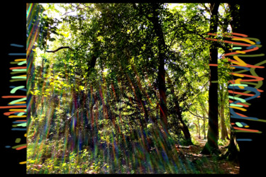 Digitale Kunst getiteld "Song Of The Forest" door Gerald Shepherd F.F.P.S., Origineel Kunstwerk, 2D Digital Work
