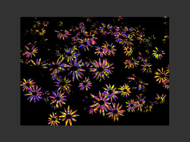 Grafika cyfrowa / sztuka generowana cyfrowo zatytułowany „Rainbow Flowers” autorstwa Gerald Shepherd F.F.P.S., Oryginalna pr…