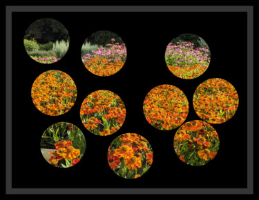 Digitale Kunst getiteld "Peephole Flowers 4" door Gerald Shepherd F.F.P.S., Origineel Kunstwerk, 2D Digital Work