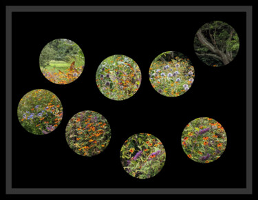 Digitale Kunst getiteld "Peephole Flowers 3" door Gerald Shepherd F.F.P.S., Origineel Kunstwerk, 2D Digital Work