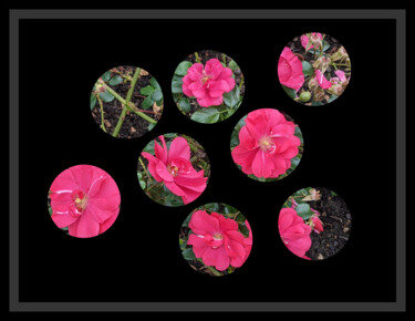 Digitale Kunst getiteld "Peephole Flowers 2" door Gerald Shepherd F.F.P.S., Origineel Kunstwerk, 2D Digital Work