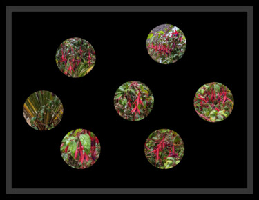 Digitale Kunst getiteld "Peephole Flowers 1" door Gerald Shepherd F.F.P.S., Origineel Kunstwerk, 2D Digital Work