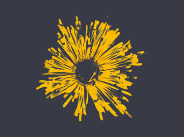 Arts numériques intitulée "Pleiospilos Flower" par Gerald Shepherd F.F.P.S., Œuvre d'art originale, Travail numérique 2D