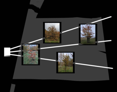 Digitale Kunst mit dem Titel "Tree Parade" von Gerald Shepherd F.F.P.S., Original-Kunstwerk, 2D digitale Arbeit