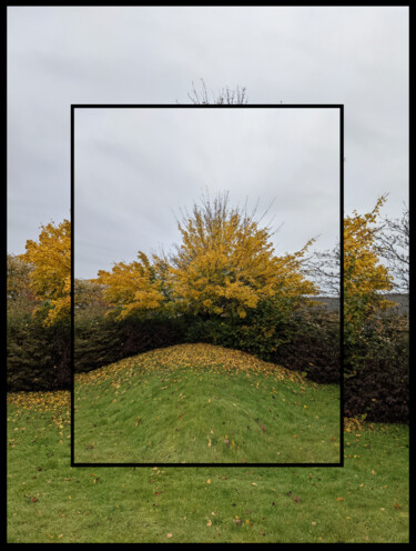 Digital Arts titled "Hedge Curve" by Gerald Shepherd F.F.P.S., Original Artwork, 2D Digital Work