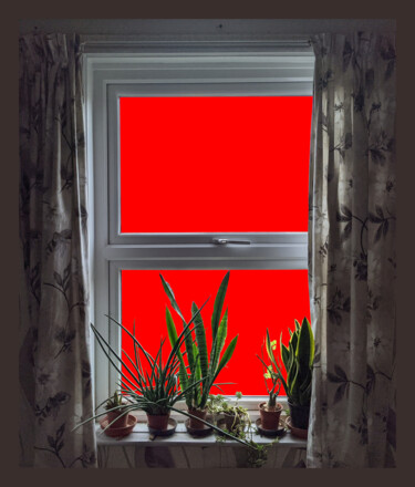 Digitale Kunst mit dem Titel "The Red Window" von Gerald Shepherd F.F.P.S., Original-Kunstwerk, 2D digitale Arbeit