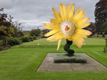 Arts numériques intitulée "The Flower Sculpture" par Gerald Shepherd F.F.P.S., Œuvre d'art originale, Travail numérique 2D
