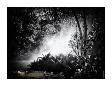 Photography titled "OPHELIA" by Gérard Bertrand, Original Artwork, Manipulated Photography