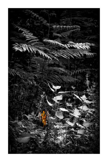Photographie intitulée "AMAZONES" par Gérard Bertrand, Œuvre d'art originale, Photographie manipulée