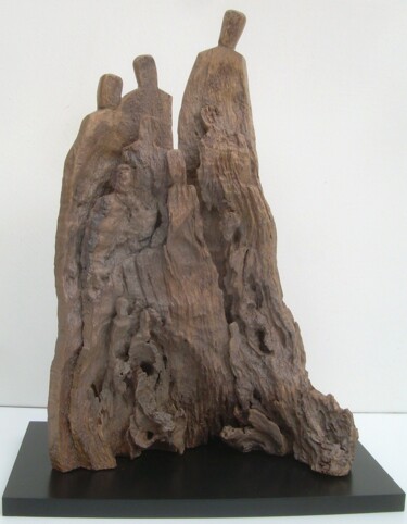 Sculpture titled "Famille 19 05" by Gérard Cottereau, Original Artwork, Wood