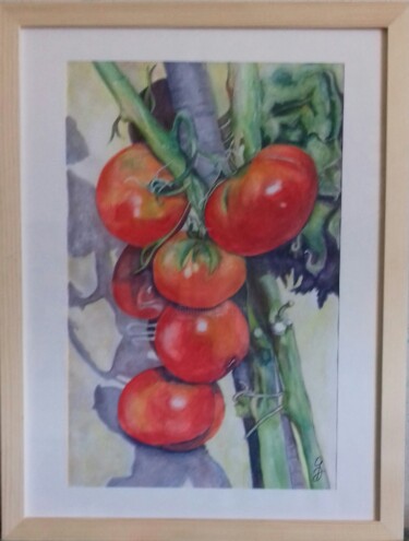 Peinture intitulée "Tomates Marmande" par Gerard Dessertine, Œuvre d'art originale, Aquarelle