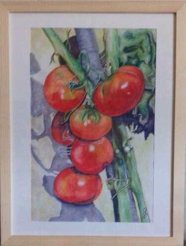 Schilderij getiteld "Tomates Marmande" door Gerard Dessertine, Origineel Kunstwerk, Aquarel