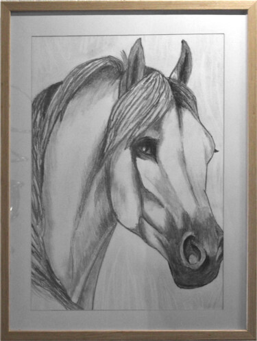 Drawing titled "336 - Cheval au gra…" by Gdlapalette, Original Artwork, Graphite Mounted on Wood Panel