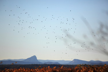 Photographie intitulée "pic saint loup" par Gerard Jeanjean, Œuvre d'art originale