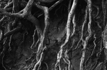 Photographie intitulée "peuple de l'Agartha" par Gerard Jeanjean, Œuvre d'art originale