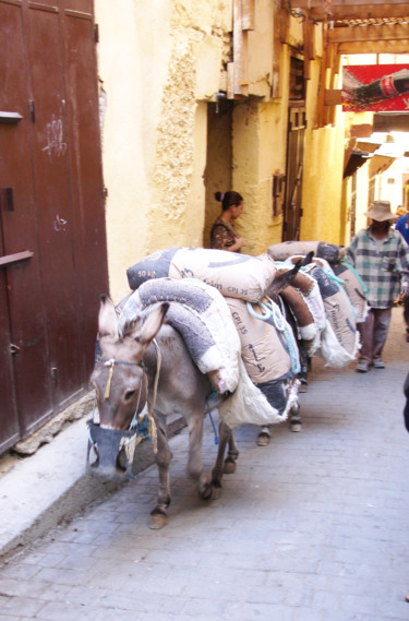 Fotografía titulada "Médina Fès" por Gerard Jeanjean, Obra de arte original