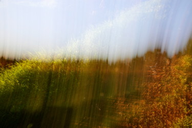 Photographie intitulée "l'herbe folle" par Gerard Jeanjean, Œuvre d'art originale