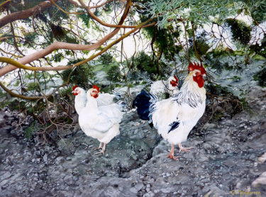 Peinture intitulée "Poules normande" par Gerard Monborren, Œuvre d'art originale, Huile