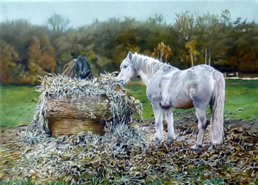 Painting titled "chevaux dans le pré…" by Gerard Monborren, Original Artwork, Oil