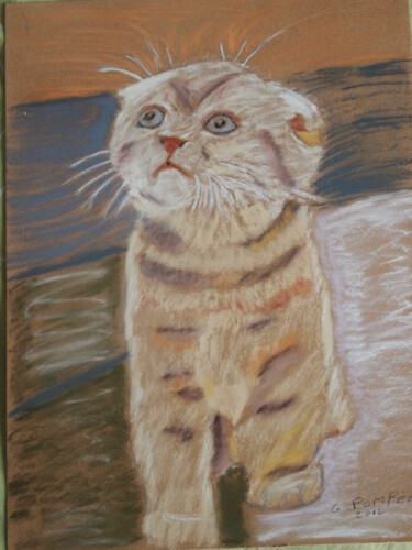 Peinture intitulée "chaton" par Gerard Pompee, Œuvre d'art originale