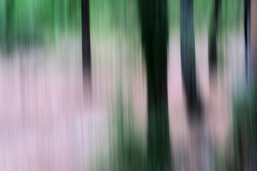 Photography titled "Forêt" by Gérard Romain, Original Artwork, Digital Photography Mounted on Aluminium