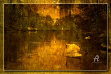 Digital Arts titled "Cygne en hiver" by Gérard Boyer, Original Artwork, 2D Digital Work