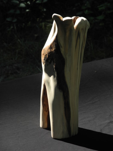 雕塑 标题为“BOULEAU” 由Gérard Didier, 原创艺术品, 木