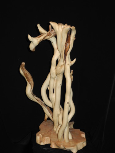 Sculpture titled "LIENS 2" by Gérard Didier, Original Artwork, Wood