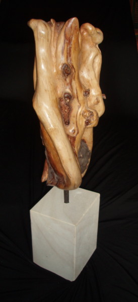 Sculpture titled "AFFINITE" by Gérard Didier, Original Artwork, Wood