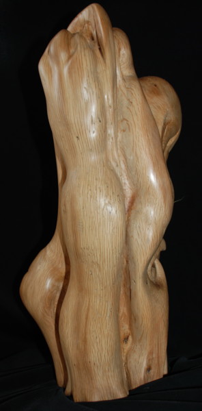 Sculpture titled "CONNEXION" by Gérard Didier, Original Artwork, Wood