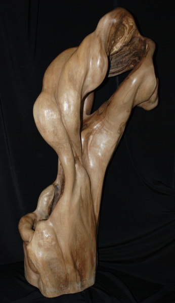 Sculpture intitulée "OUVERTURE" par Gérard Didier, Œuvre d'art originale, Bois