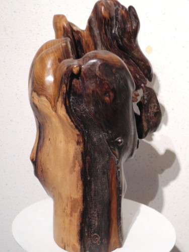 Sculpture titled "CYTISE 1" by Gérard Didier, Original Artwork, Wood