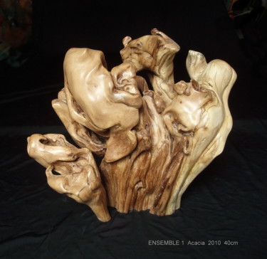 雕塑 标题为“PETULANCE” 由Gérard Didier, 原创艺术品, 木