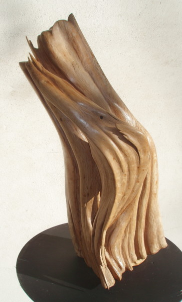 Sculptuur getiteld "INFLECHIR" door Gérard Didier, Origineel Kunstwerk, Hout