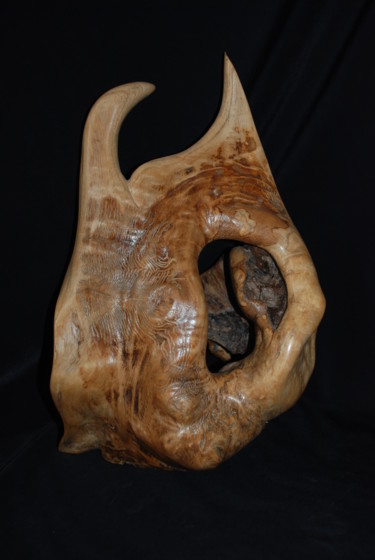 Sculpture titled "PASSAGE" by Gérard Didier, Original Artwork, Wood