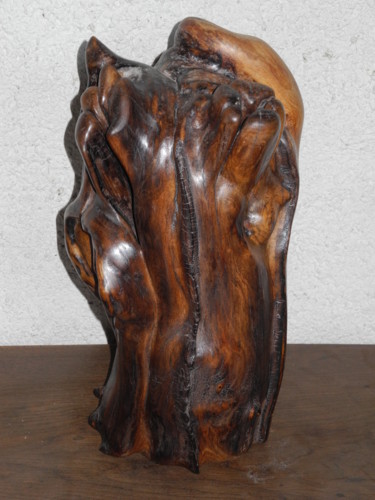 Sculpture titled "CYTISE 2" by Gérard Didier, Original Artwork, Wood